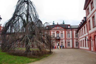 1456_G.jpg